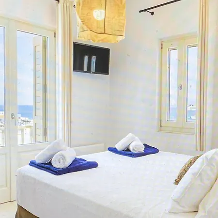 فيلة House